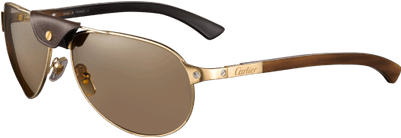 Cartier Sunglasses - Cartier De Santos Sunglasses (400x400), Png Download