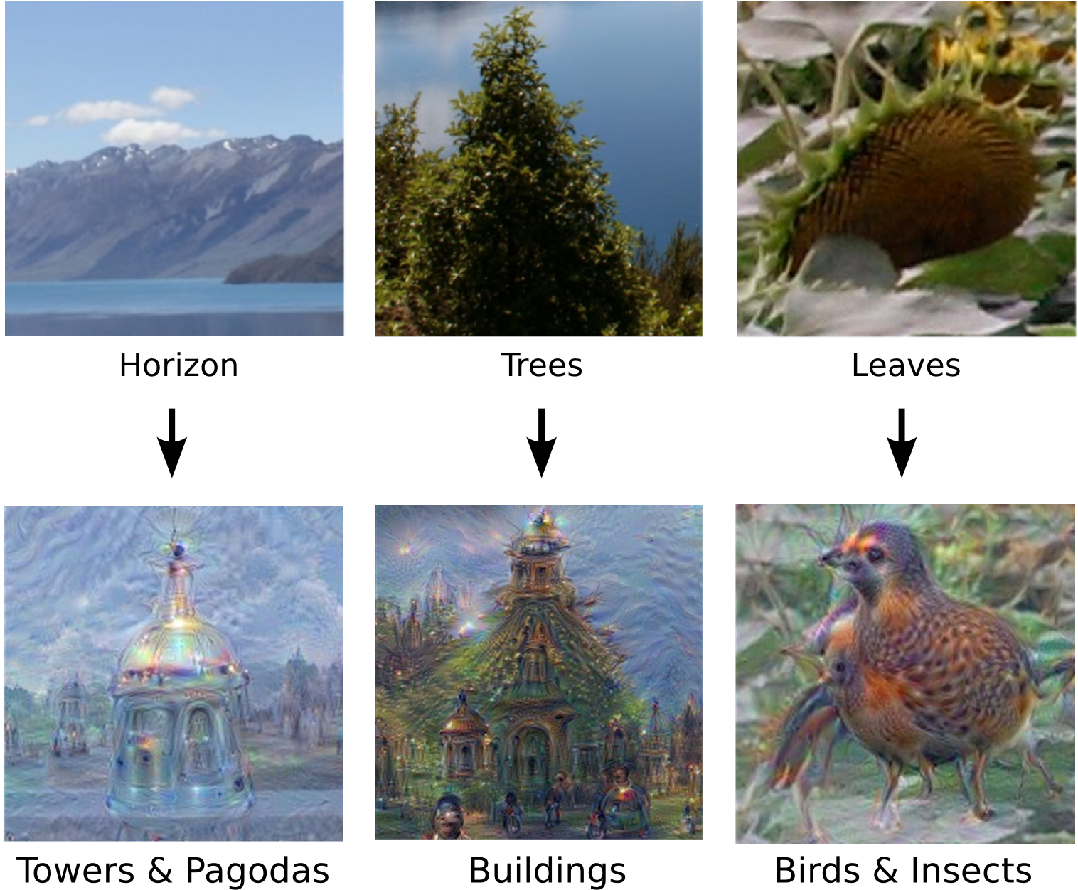 Going Deeper Into Neural Networks - Google Deep Dream Before After (1544x1289), Png Download