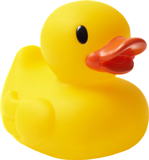 Rubber Duck Png Image - Transparent Rubber Duck Png (511x550), Png Download