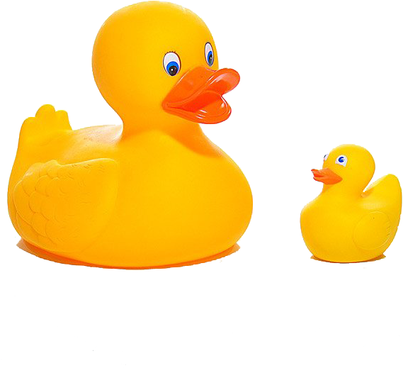 Rubber Duck (600x900), Png Download