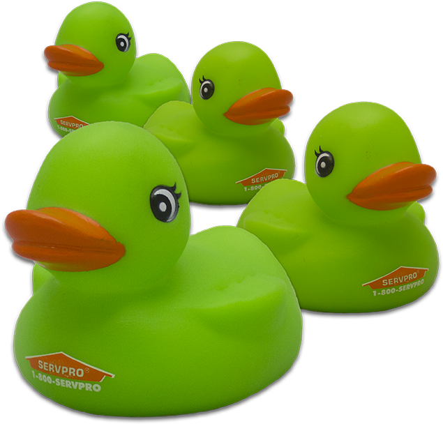 Rubber Duck - Green Rubber Duck (710x650), Png Download