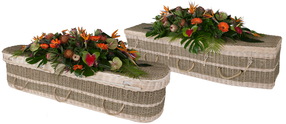 Coffin (1000x600), Png Download