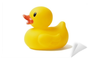 Duck (400x400), Png Download