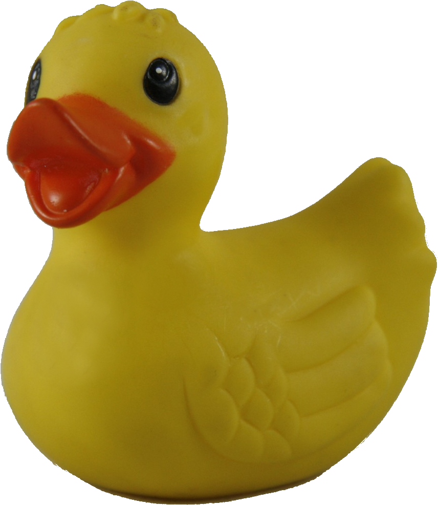 Rubber Duck Free Transparent PNG Download PNGkey