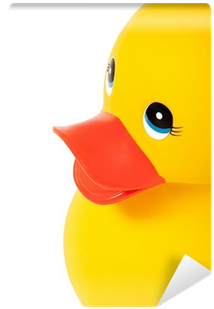 Duck (400x400), Png Download