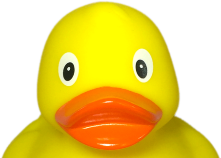 Not A Pigeon - Bath Toy (640x360), Png Download