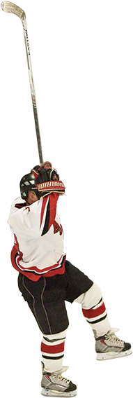Com » For Player Stats And More Moose - Hockey Player Celebrating Png (261x700), Png Download