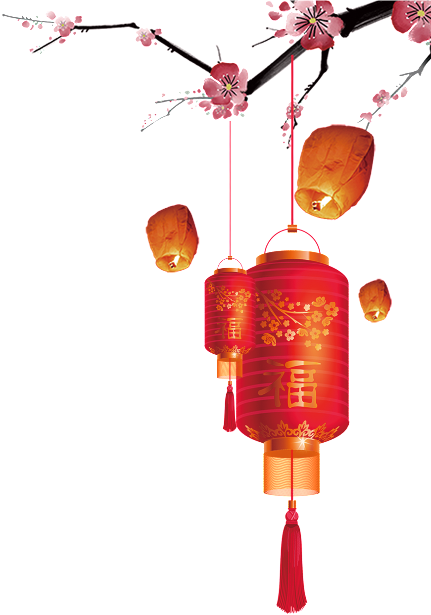 Lantern Transparent Picture Hanging On Plum Tree - Chinese New Year (1024x1304), Png Download