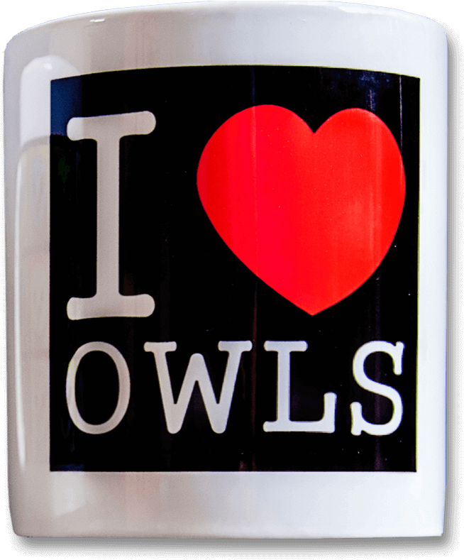 Mug 'i Love Owls' - International Association Of Engineers (800x800), Png Download