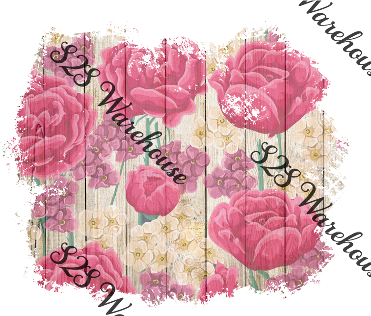Garden Roses (784x643), Png Download