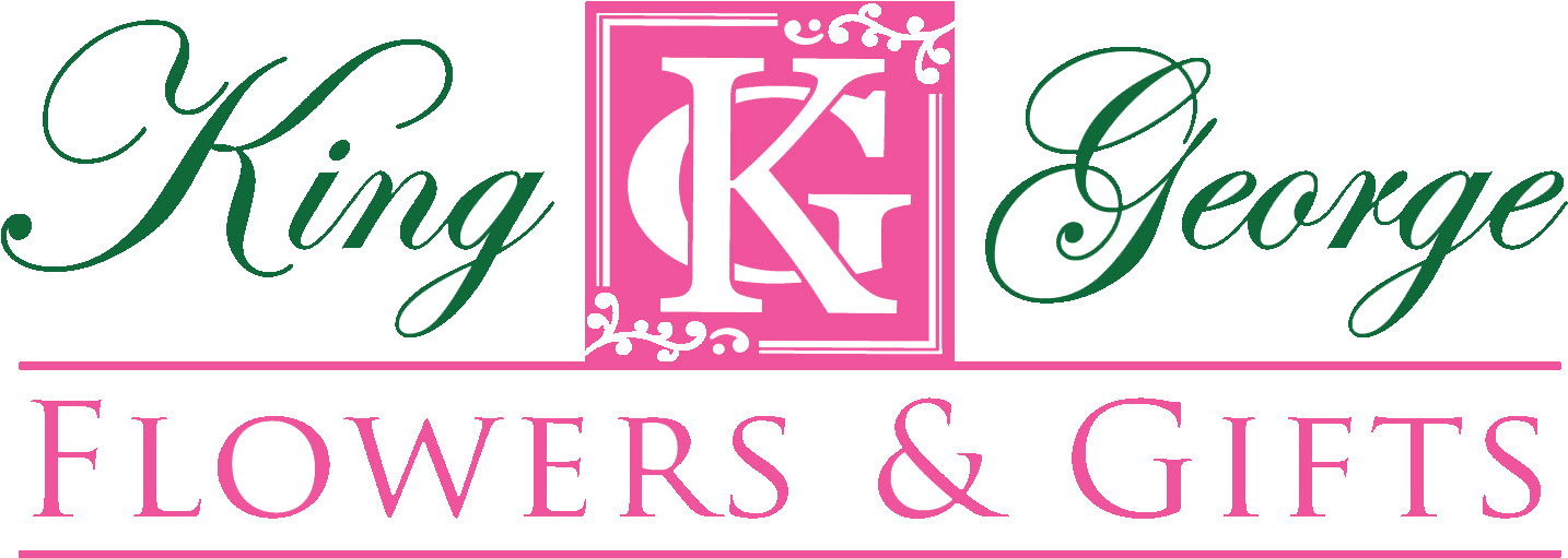 Calligraphy (1480x605), Png Download