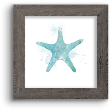 Watercolor Silhouette ~ Sea Star - Circle (1024x1024), Png Download