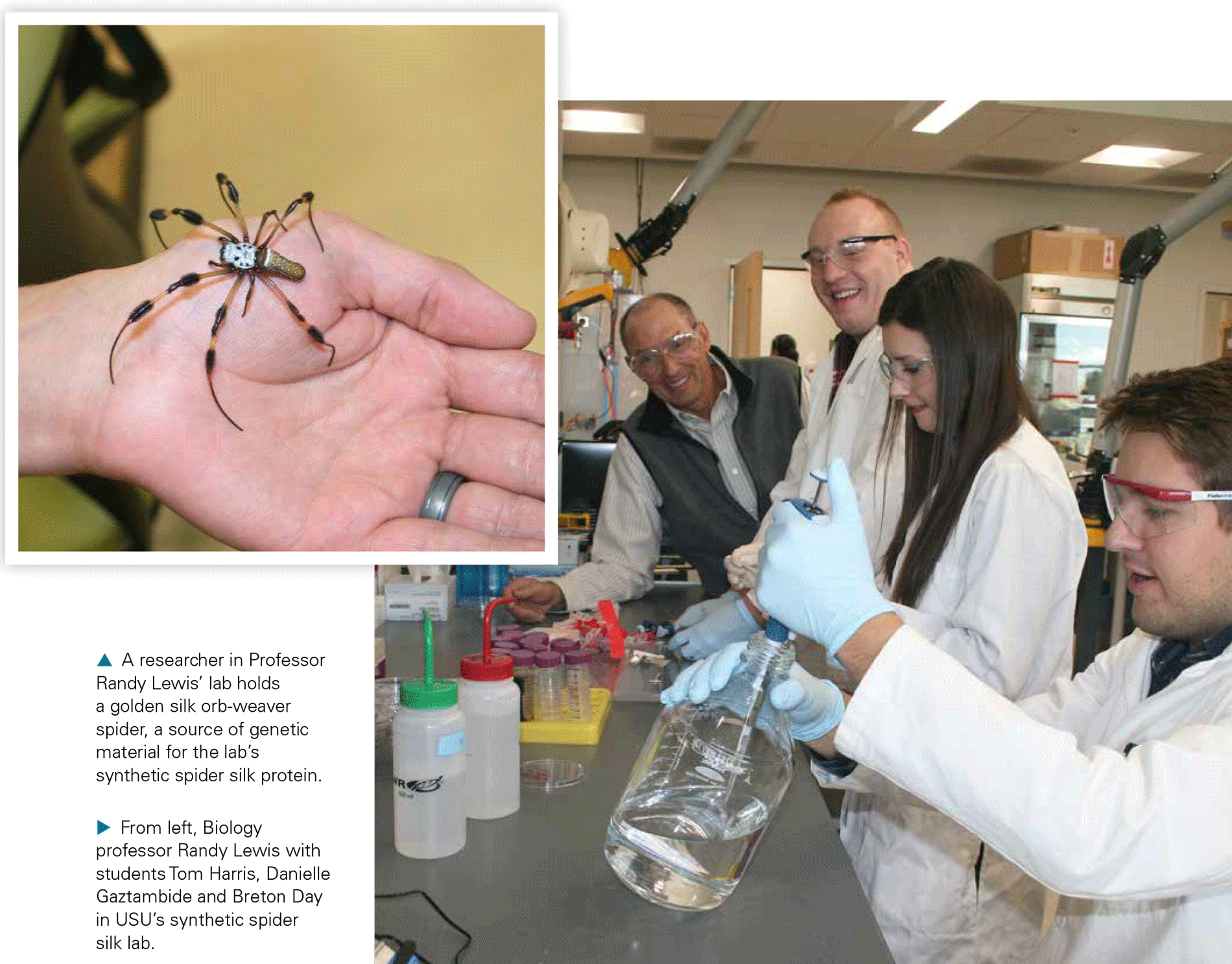 In Addition To The Transgenic Ruminants, The Usu Professor - Usu Spider Silk Lab (1900x1487), Png Download