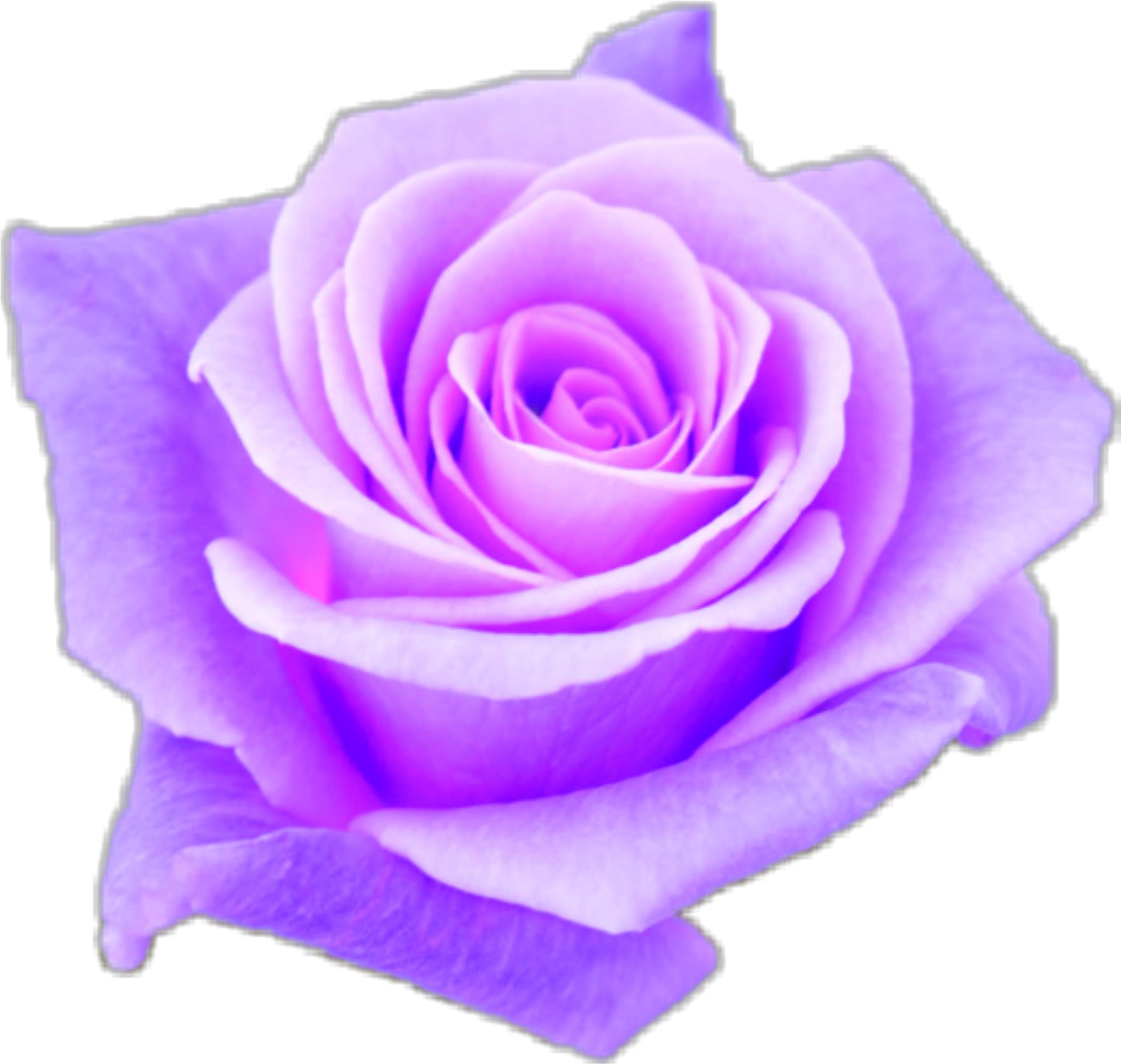 Aesthetic Transparent Purple Roses Png Aesthetic Transparent - Aesthetic Purple Rose (2289x2289), Png Download