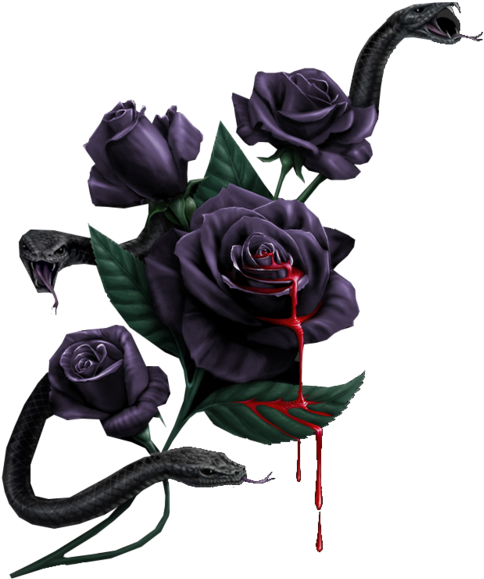 Snakes Roses - Snake And Rose Png (800x600), Png Download