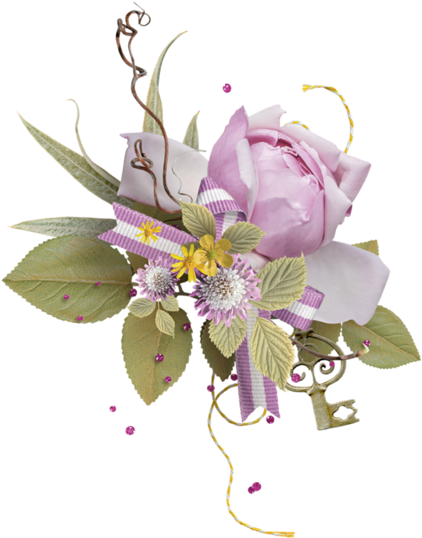 Purple Roses - Cattleya (600x763), Png Download