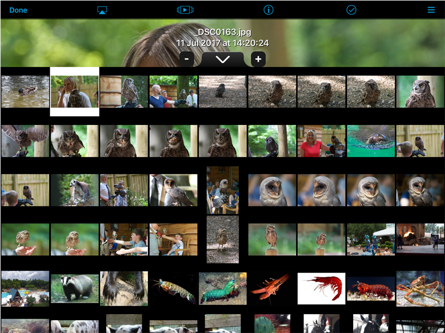 Dedicated Photo Viewer - Collage (1172x808), Png Download