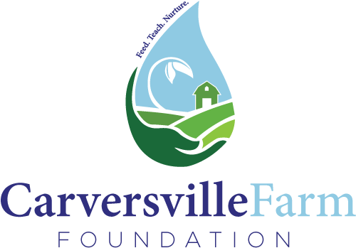 Carversville Logo - D Youville Life And Wellness Community (792x612), Png Download
