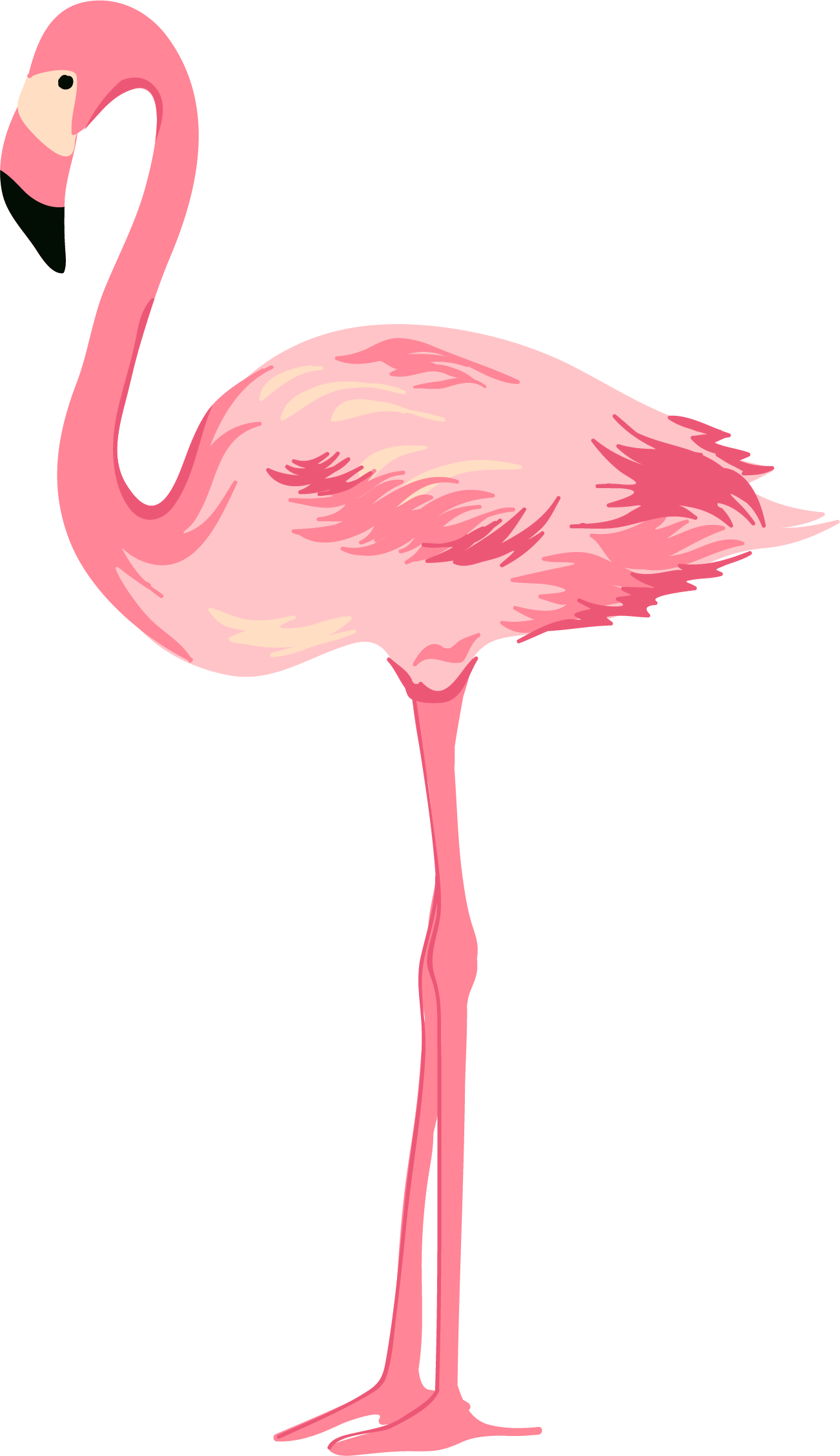 1301 X 2255 8 - Flamingo Png (1301x2255), Png Download