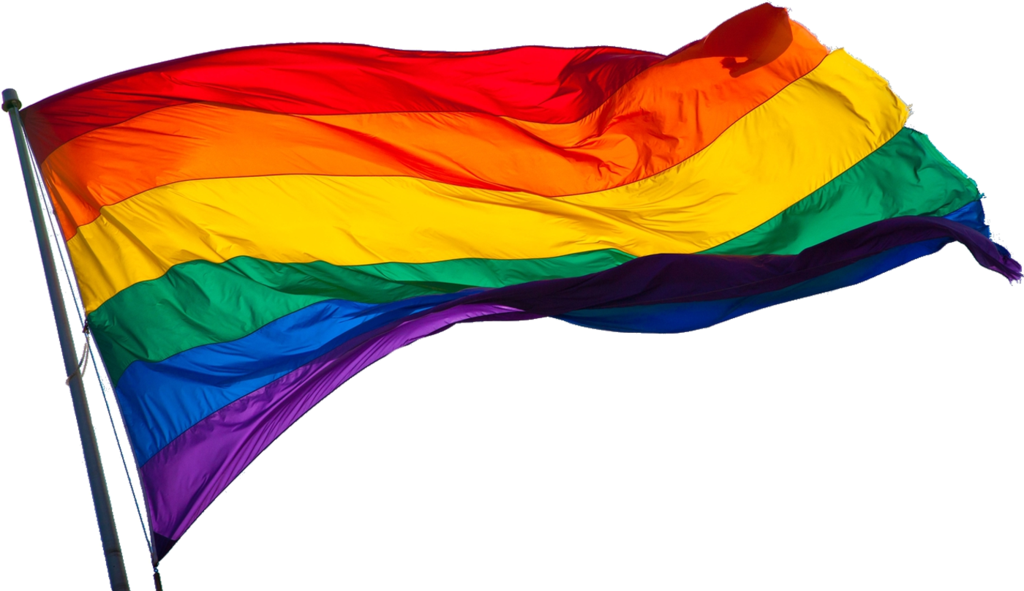 File - - Lgbt Flag Transparent Background (1024x591), Png Download