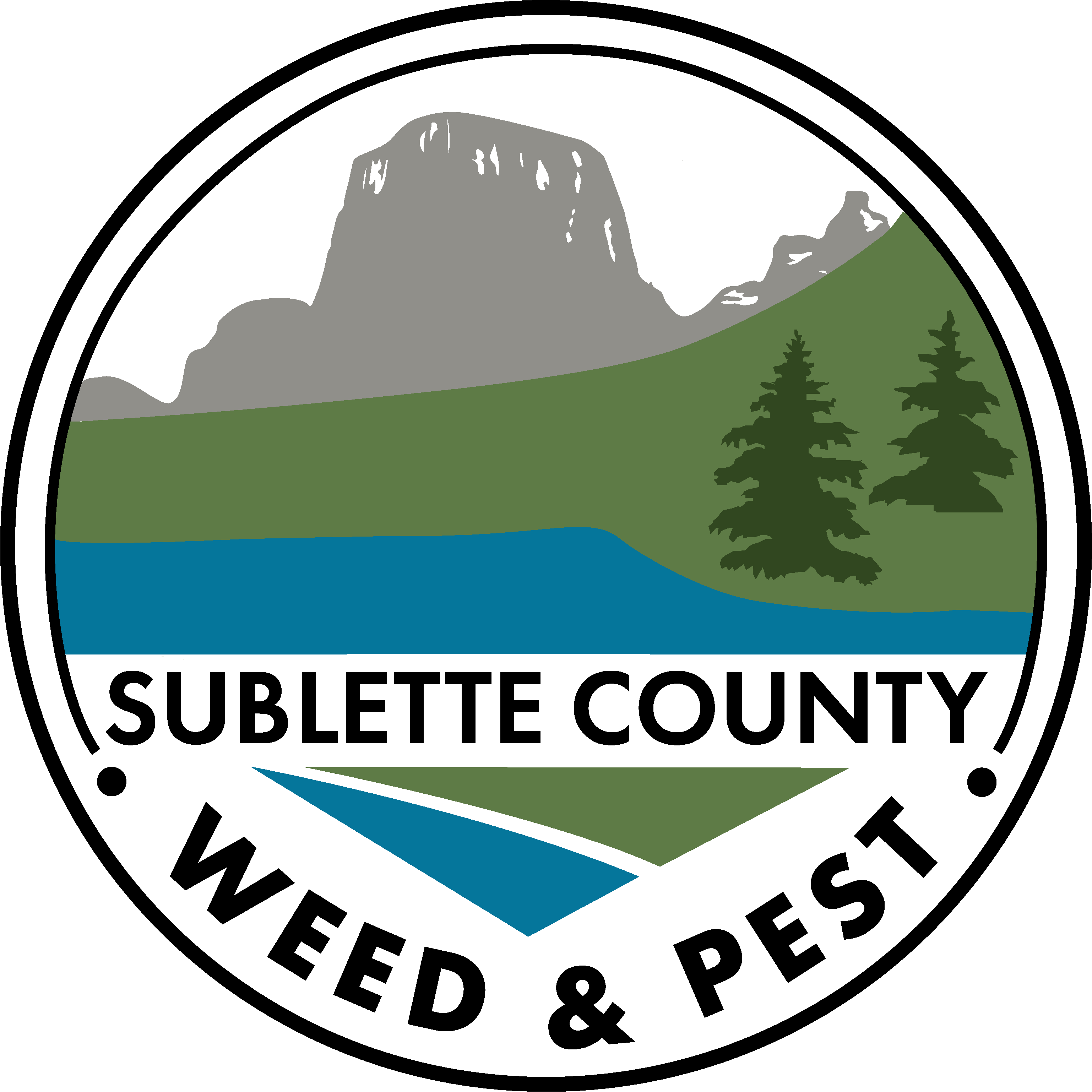 Colorado Spruce (3075x3075), Png Download