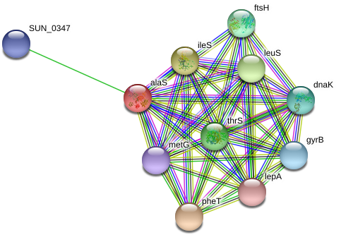 Circle (975x369), Png Download