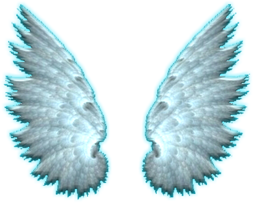 980 X 816 4 - Stock Dove (980x816), Png Download