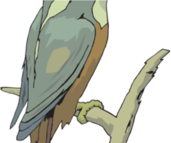 Kingfisher Clipart - Cartoon (640x480), Png Download