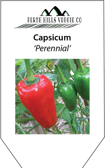 Capsicum 'perennial' - Piquillo Pepper (690x690), Png Download