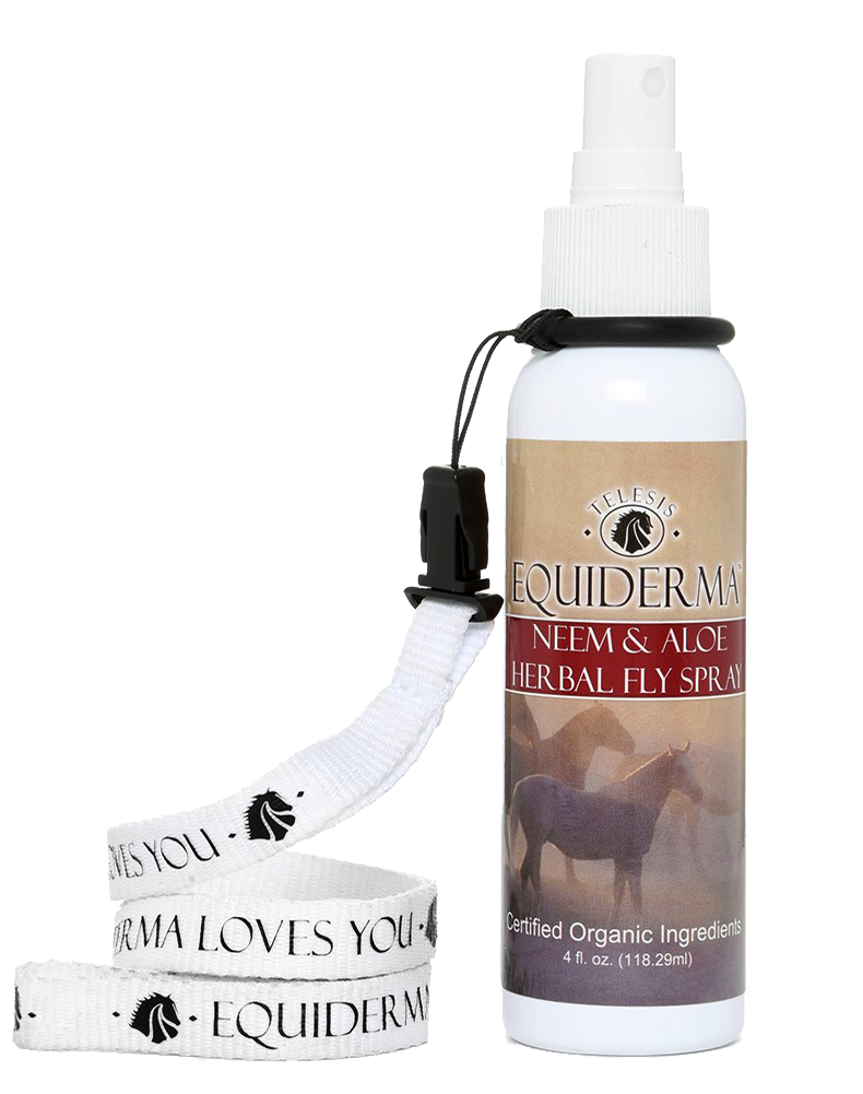 Neem & Aloe Natural Horse Spray - Mane (1000x1000), Png Download