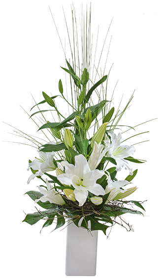 Shop (800x600), Png Download