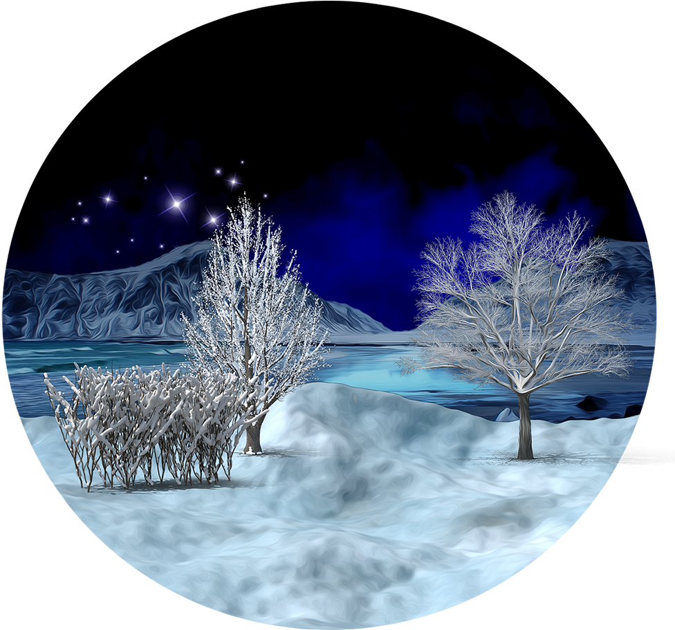 download-christmas-tree-png-image-with-no-background-pngkey
