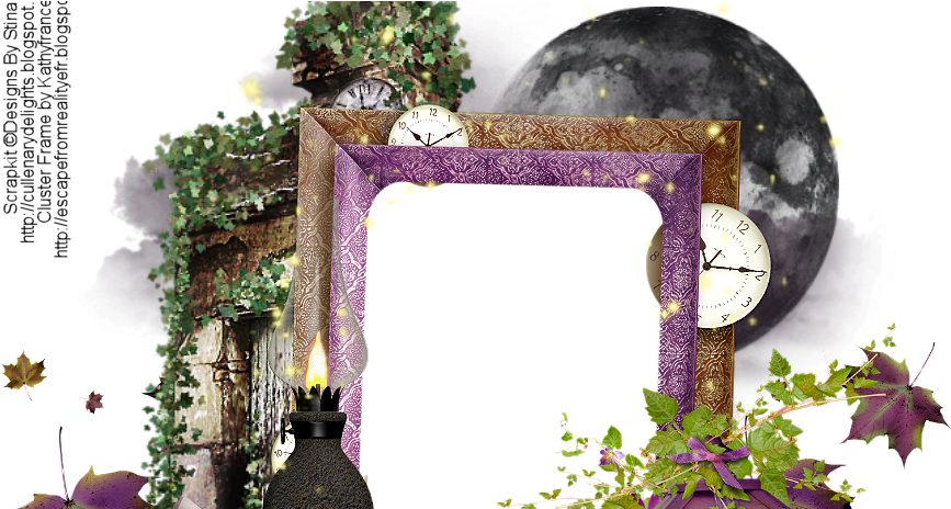 Eyewear Designs By Frances - Picture Frame (881x463), Png Download