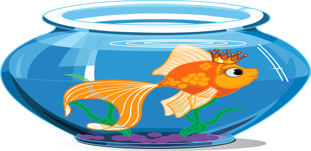 Tap Fish Aquarium - Fish Inside The Aquarium (1024x500), Png Download