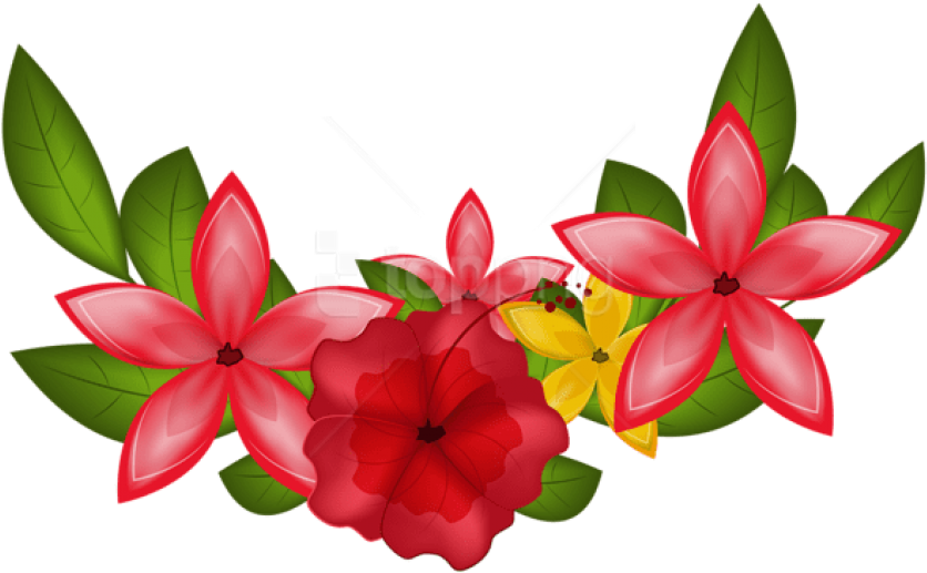 Free Png Download Exotic Floral Decoration Clipart - Impatiens (850x533), Png Download