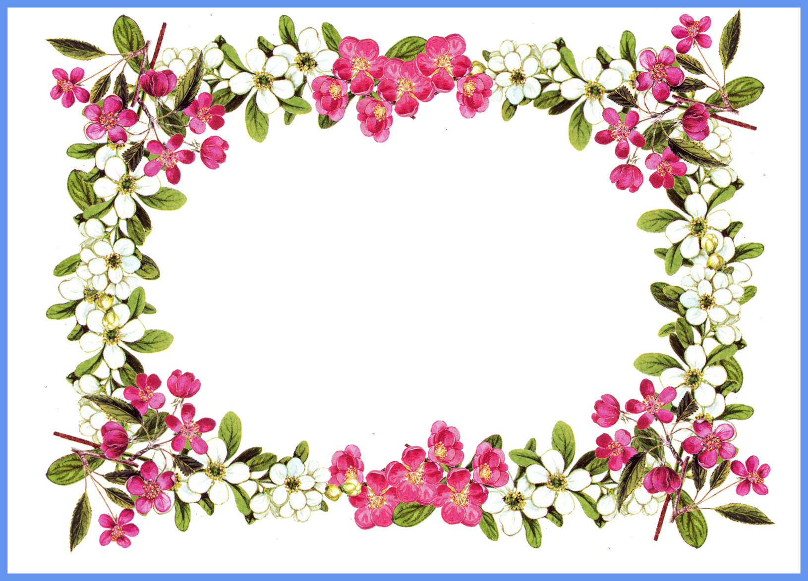 Flower Frame Clipart Com Free For Personal Use - Flower Borders Clipart Transparent (1630x1173), Png Download