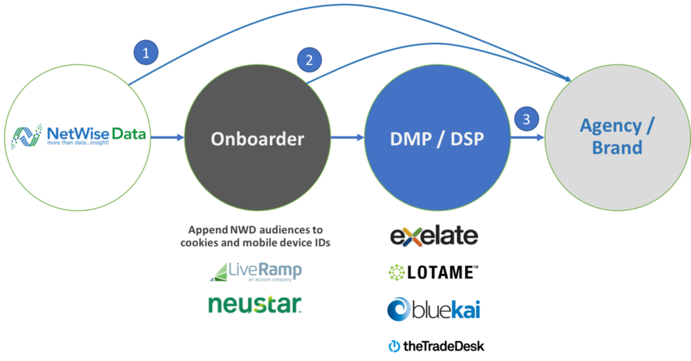 Distribution Options Timmed - Circle (1000x522), Png Download