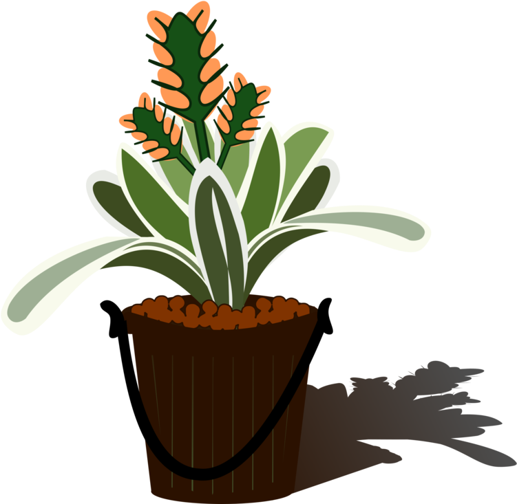 Flowering Aechmea Flowerpot Free - Bromelia Png Clipart (750x750), Png Download