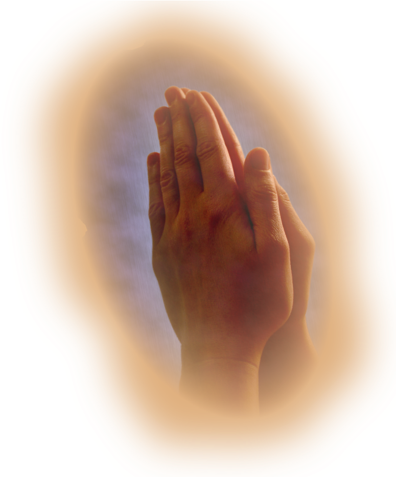 If You Wish To Have Prayers Said For You Or Another, - Shadow (774x964), Png Download
