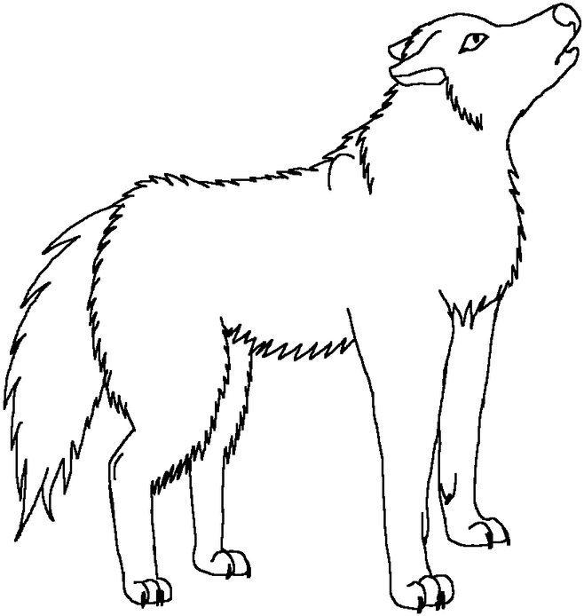 Howling Wolf Transpa Background By Yuflauschefuchs - Welsh Sheepdog (911x877), Png Download