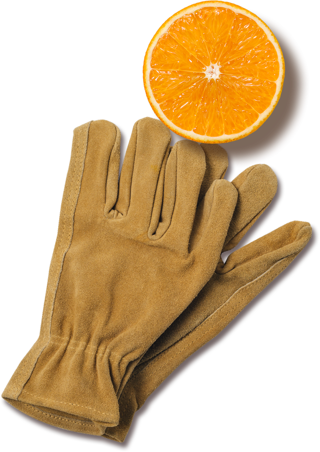 Florida's Natural Orange Juice The Best Orange Juice - Orange (632x893), Png Download