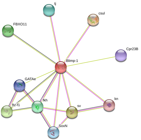 Circle (976x510), Png Download