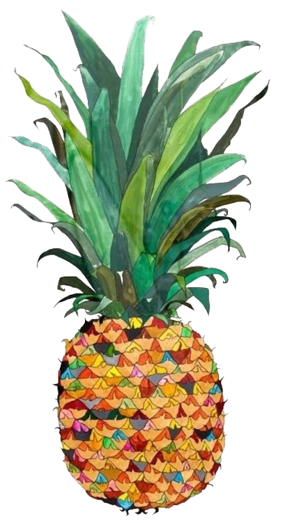 700 X 847 4 - Pineapple Drawing Water Colour (700x847), Png Download