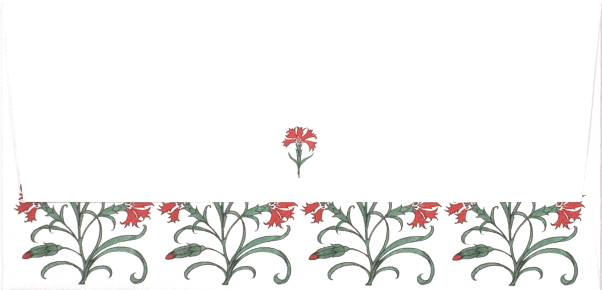 Carnation Envelope - Rosa Glauca (1600x580), Png Download