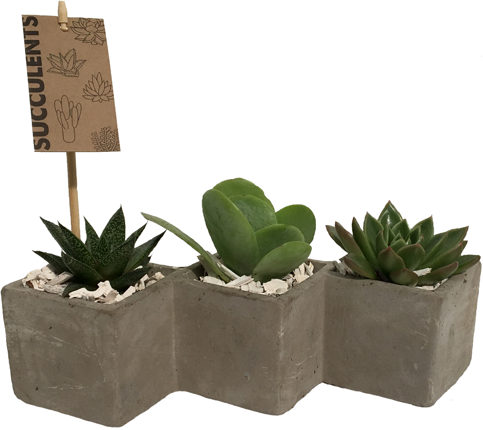 More Views - Flowerpot (1000x910), Png Download