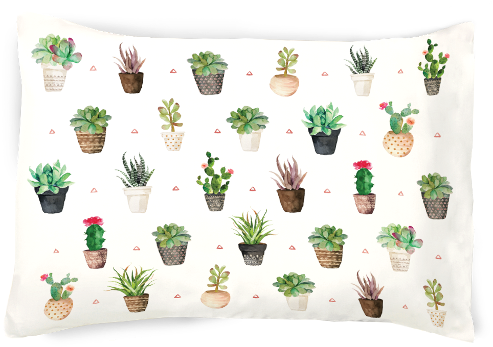 Succulents- Succa For You Pillowcase - Cushion (1136x937), Png Download
