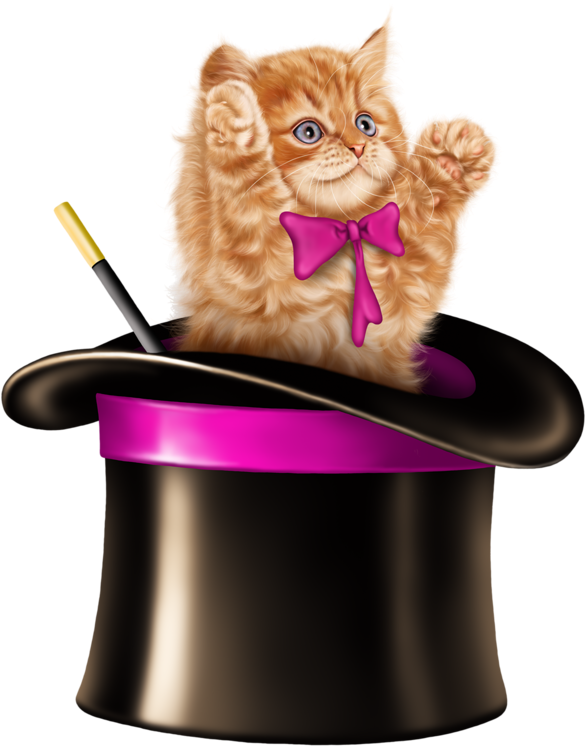Kitten Cartoon, Kitten Images, Tube, Clip Art, Card - Cat In Magic Hat (800x800), Png Download