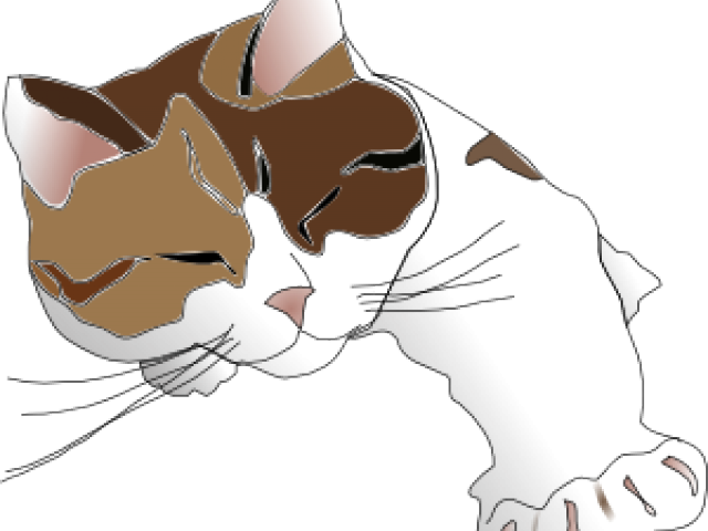 Cat Free On Dumielauxepices Net Indomitable - Cat (640x480), Png Download