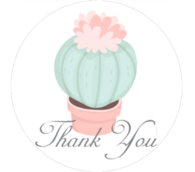 Succulents 2 - 5" Stickers - Short Myspace Quotes (650x624), Png Download