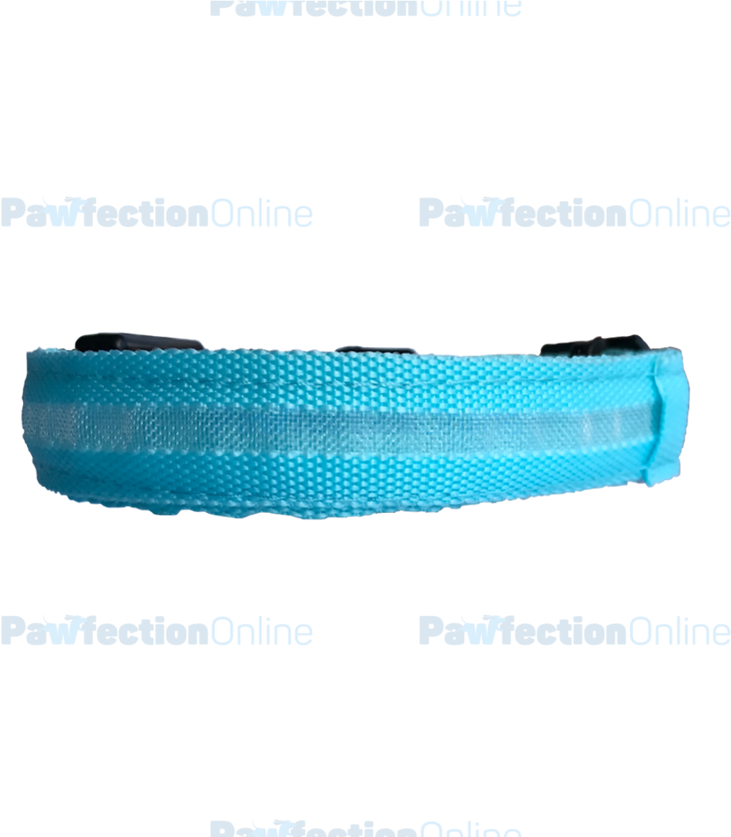 The Durable Nylon Blue Led Dog Collar Is Part Of The - Bag (1200x1200), Png Download